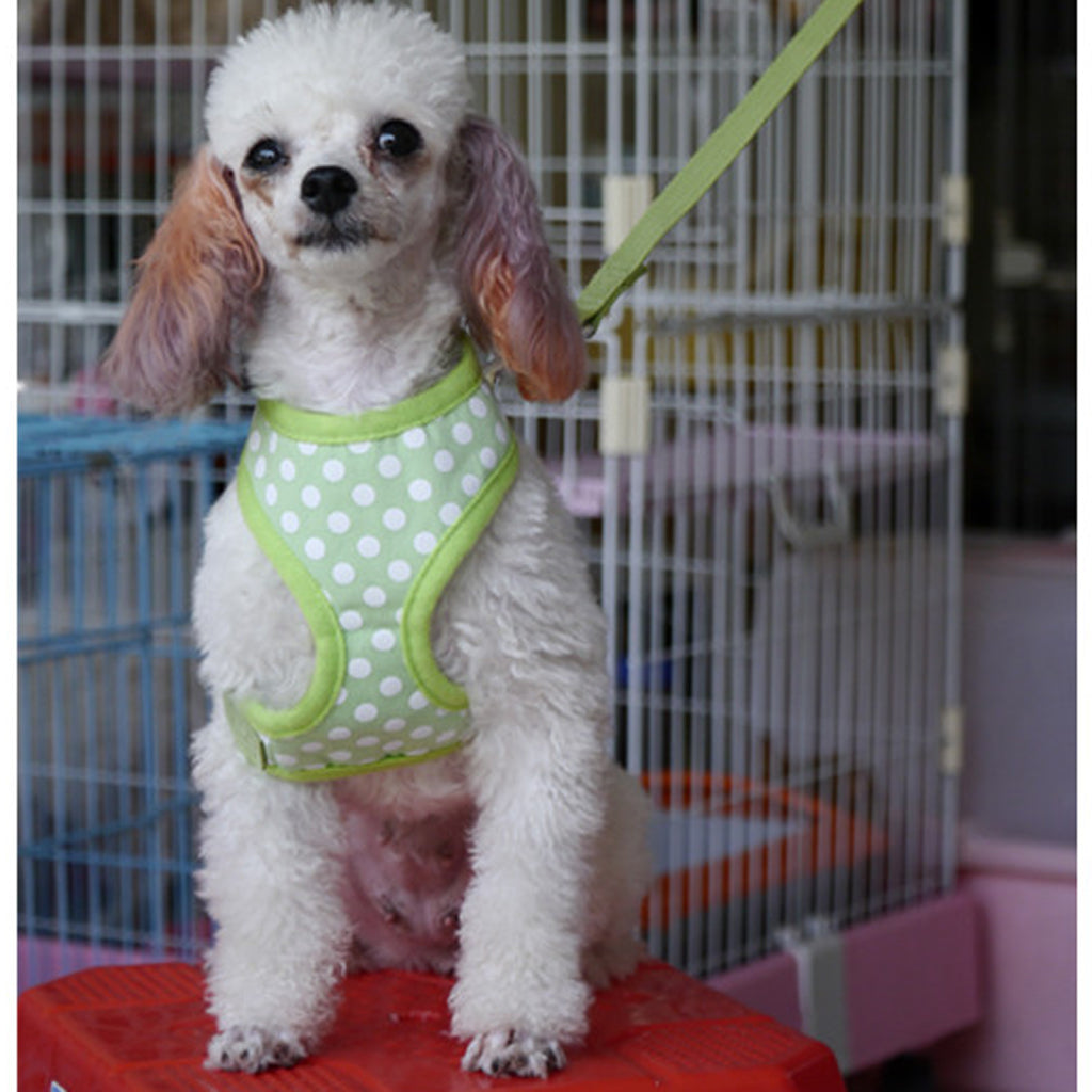 Pet Dog Soft Mesh Harness Clothes L - Green with White Dots