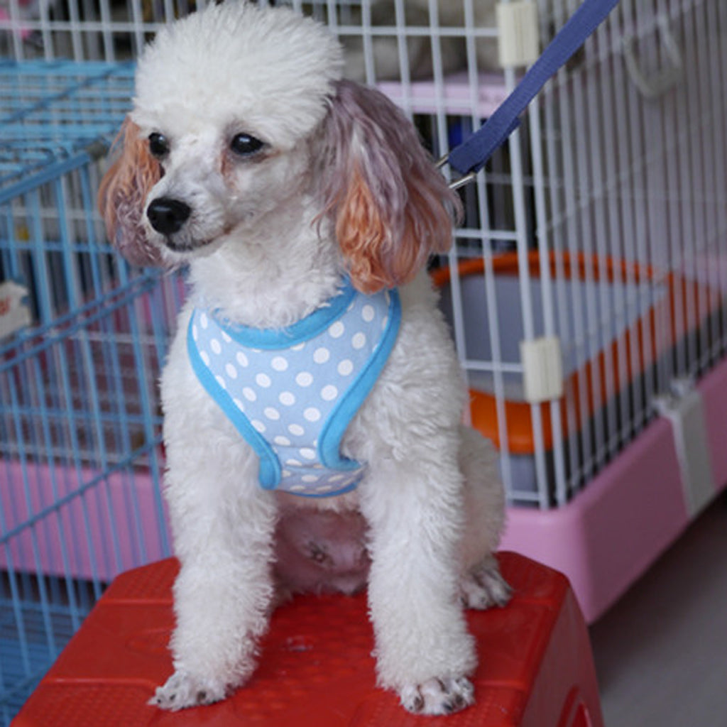 Pet Dog Soft Mesh Harness Clothes XL - Blue with White Dots