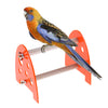 Pet Bird Parrot Table Perch for Standing and Rest No Cup