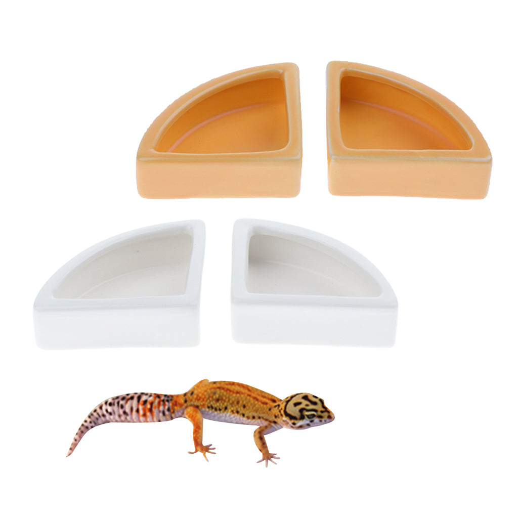 2xReptile Feeder Ceramic Food Bowl Anti-escape Dish For Lizard White Angle M