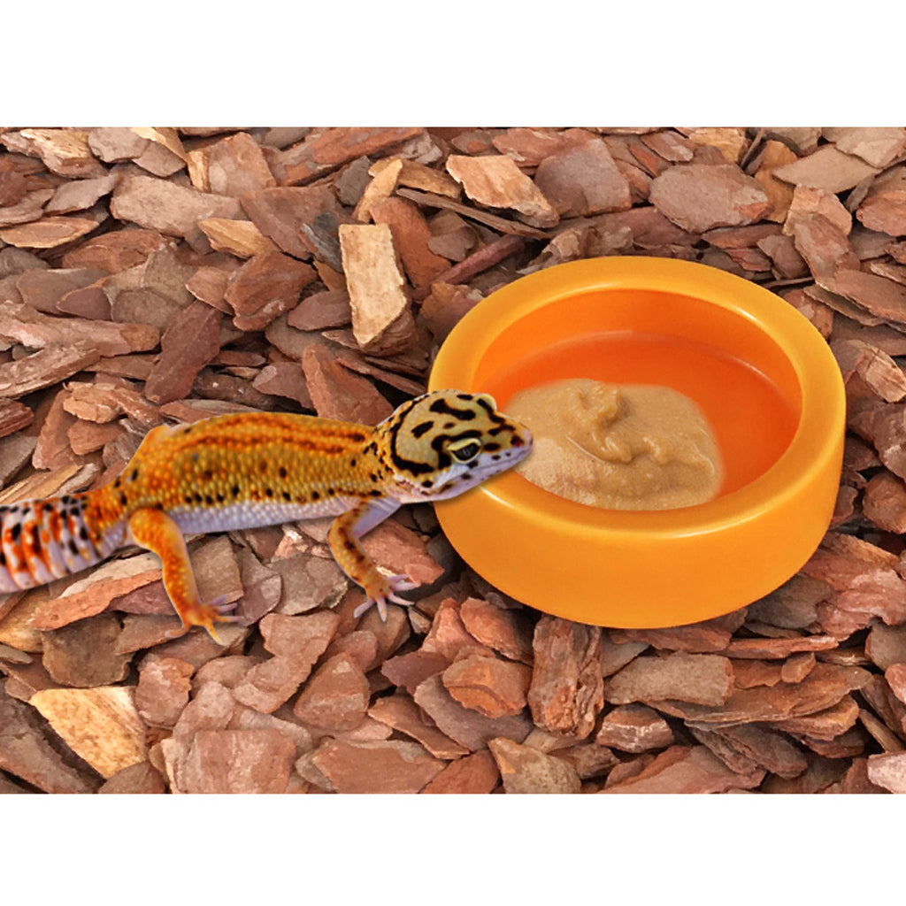 2xReptile Feeder Ceramic Food Bowl Anti-escape Dish For Lizard White Angle M