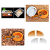 2Pieces Reptiles Feeder Ceramic Food Bowl Anti-escape Dish For Lizard Gecko Orange Round L