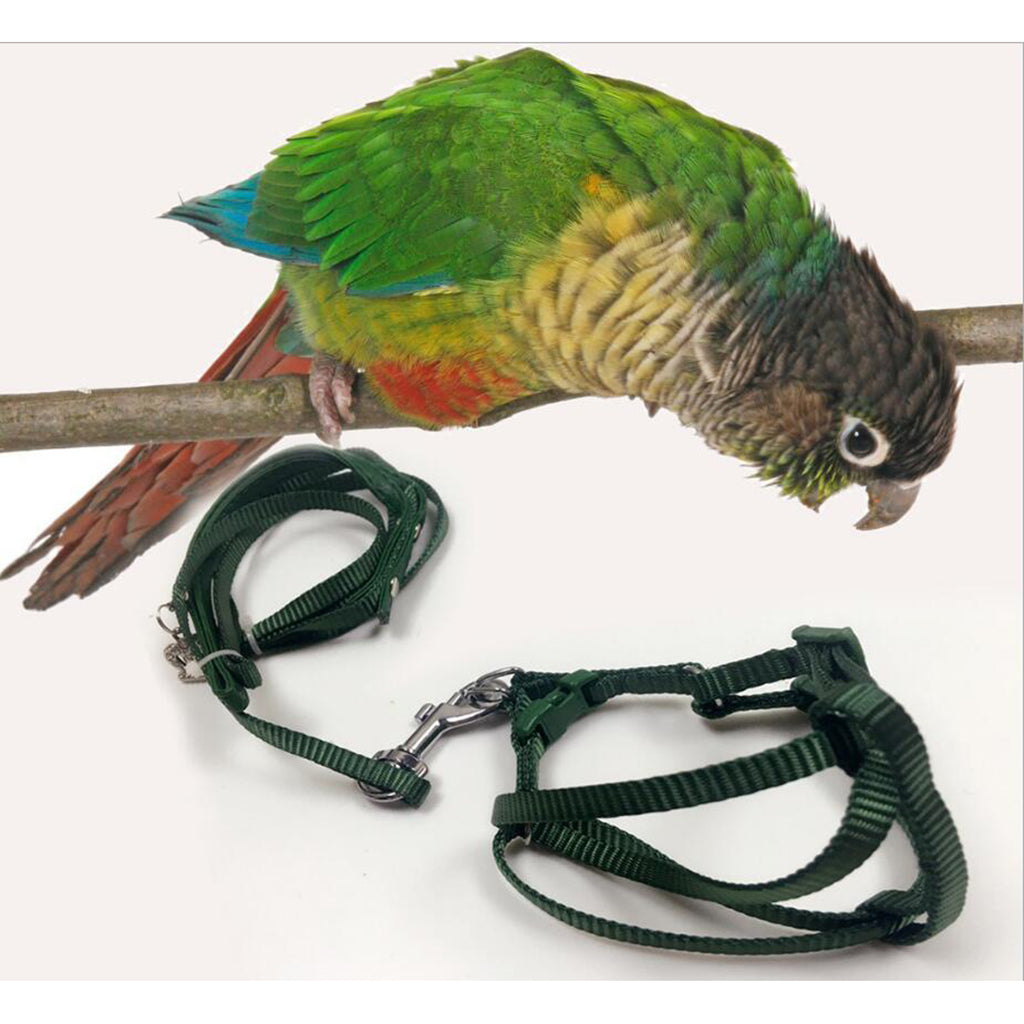 Parrot Traction Strap Outdoor Rope Pet Leash Ajustable Bird Harness L