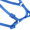 Parrot Traction Strap Outdoor Rope Pet Leash Ajustable Bird Harness L