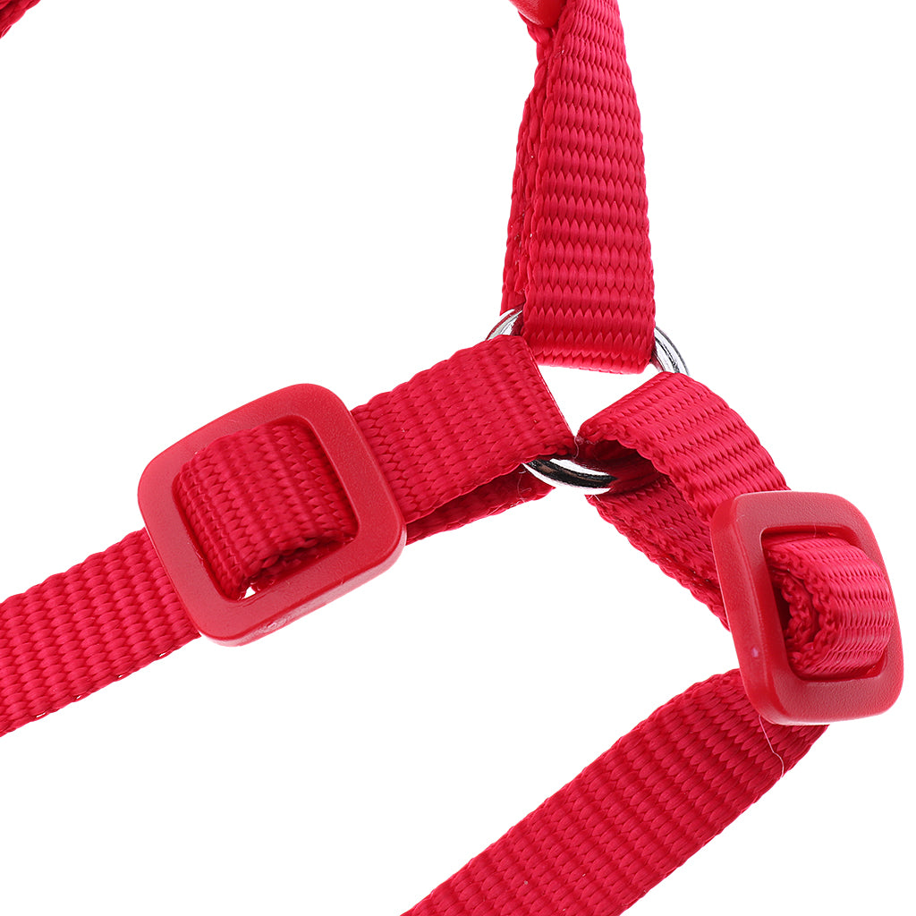 Parrot Traction Strap Outdoor Rope Pet Leash Ajustable Bird Harness S