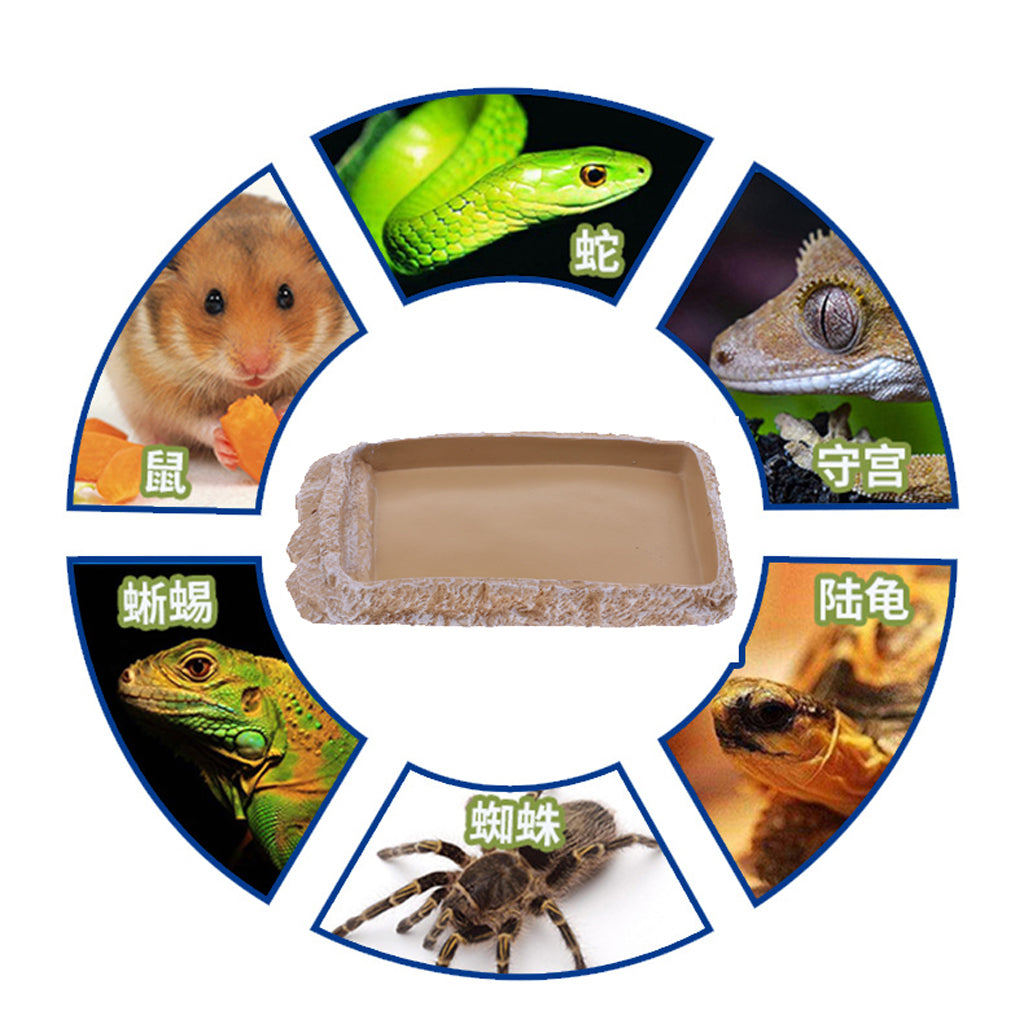 Reptile Basin Food Dish Feeding Bowl Water Dish Feeder Creamy White NS-14