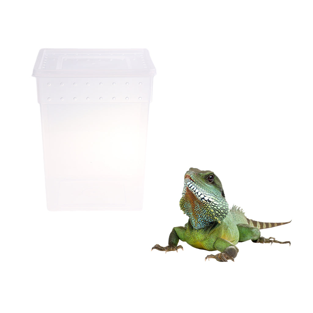 Reptile Feeding Box Transparent Cage Hatching Container for Lizard Frog White