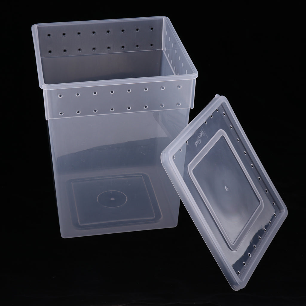 Reptile Feeding Box Transparent Cage Hatching Container for Lizard Frog White