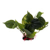 Underwater Artificial Plants Fish Tank Aquarium Decoration Ornament #3