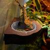 Mini Magnetic Feeding Ledge Feeder For Gecko Diet, Food or Water Green