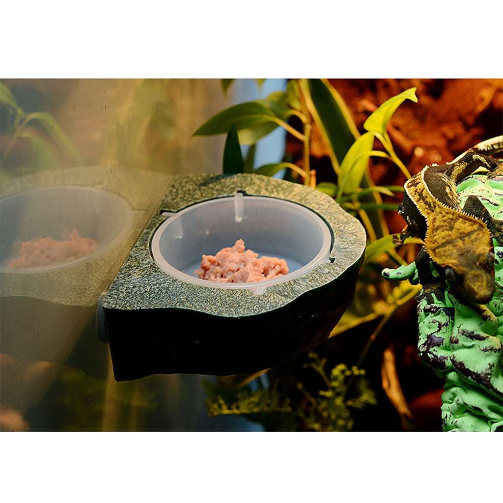 Mini Magnetic Feeding Ledge Feeder For Gecko Diet, Food or Water Green