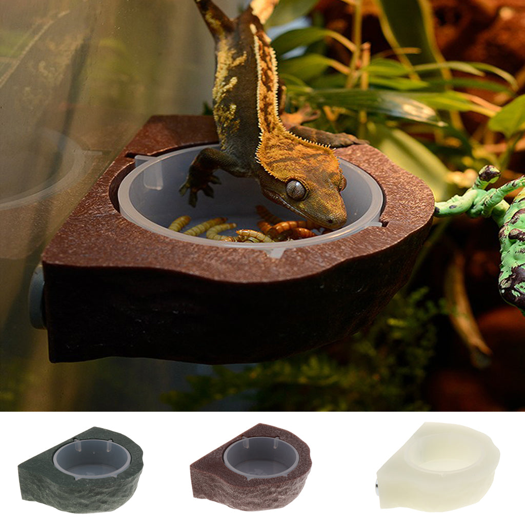 Mini Magnetic Feeding Ledge Feeder For Gecko Diet, Food or Water Green