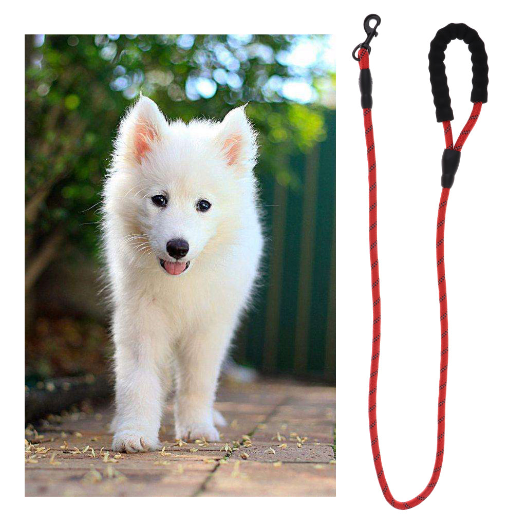 Reflective Dog Harness Set Puppy Leash Training Collar Traction Rope Red