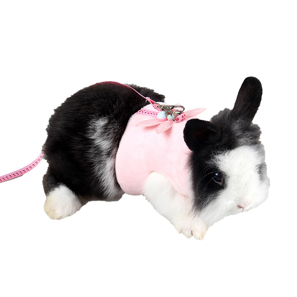 Soft Small Animal Pet Hamster Chinchilla Harness Vest Leash Lead  Pink L