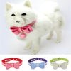 Adjustable Pet Puppy Dog Collar Safety Neck Buckle Strap Green - M