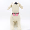 Adjustable Pet Puppy Dog Collar Safety Neck Buckle Strap 3Colors Red - S