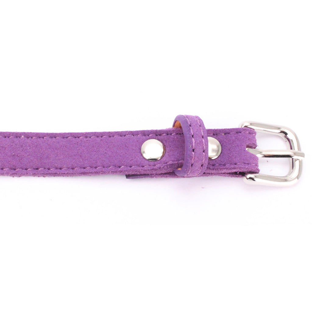 Puppy Adjustable Chest Strap Belt Harness Dog Walking Vest Harness  Purple M