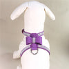 Puppy Adjustable Chest Strap Belt Harness Dog Walking Vest Harness  Purple L