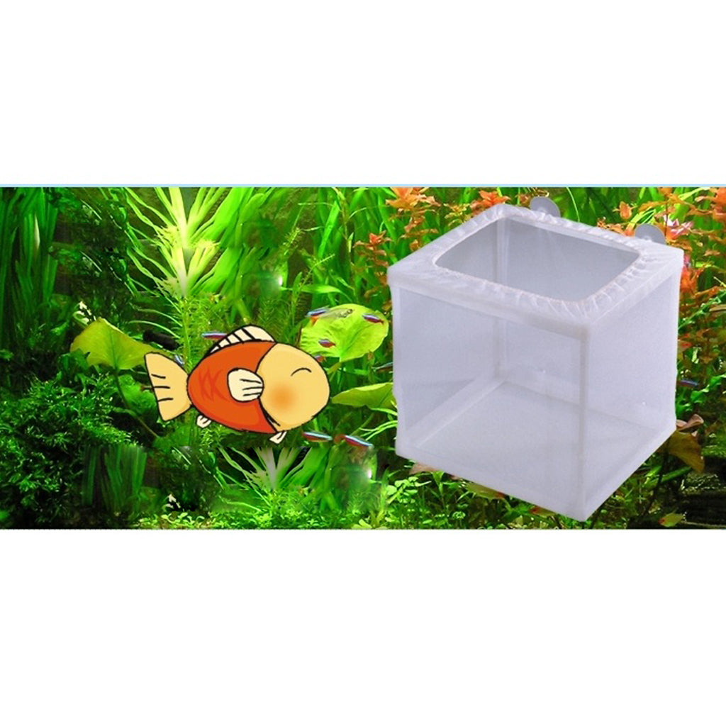 Fish Tank Fish Incubator Isolation Box Plastic Fish Hatching Isolation Box L