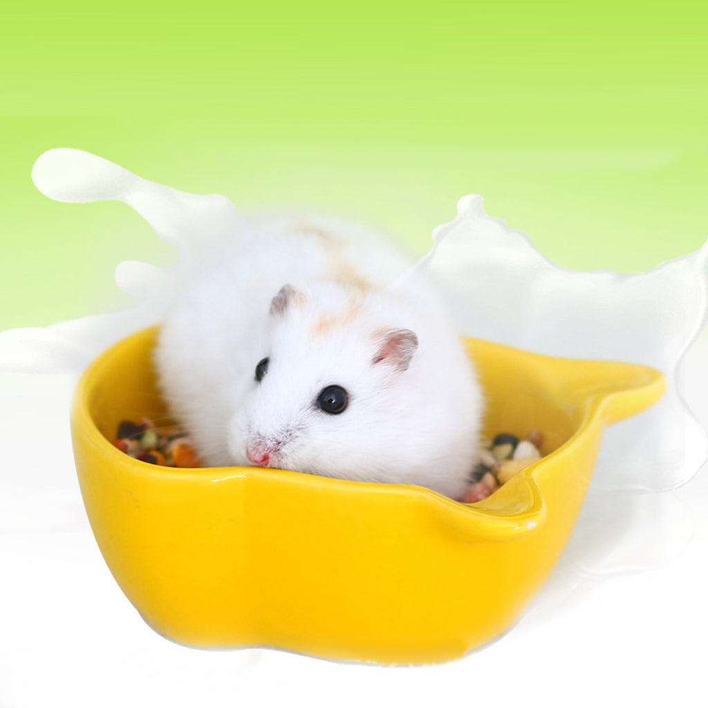 Small Ceramic Bowl Pet Hamster Rabbit Corner Feeder Feeding Bowl Dish Yellow