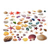 PVC Aquarium Adhesive Background Sticker Fish Tank Decor Multi-Shell L