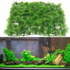 2pcs Green Artificial Aquatic Plant Grass Fish Tank Aquarium Ornament Type 5