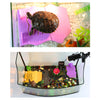 Reptile Turtle Pier Floating Dock Basking Island Platform Ramp Tank Purple S