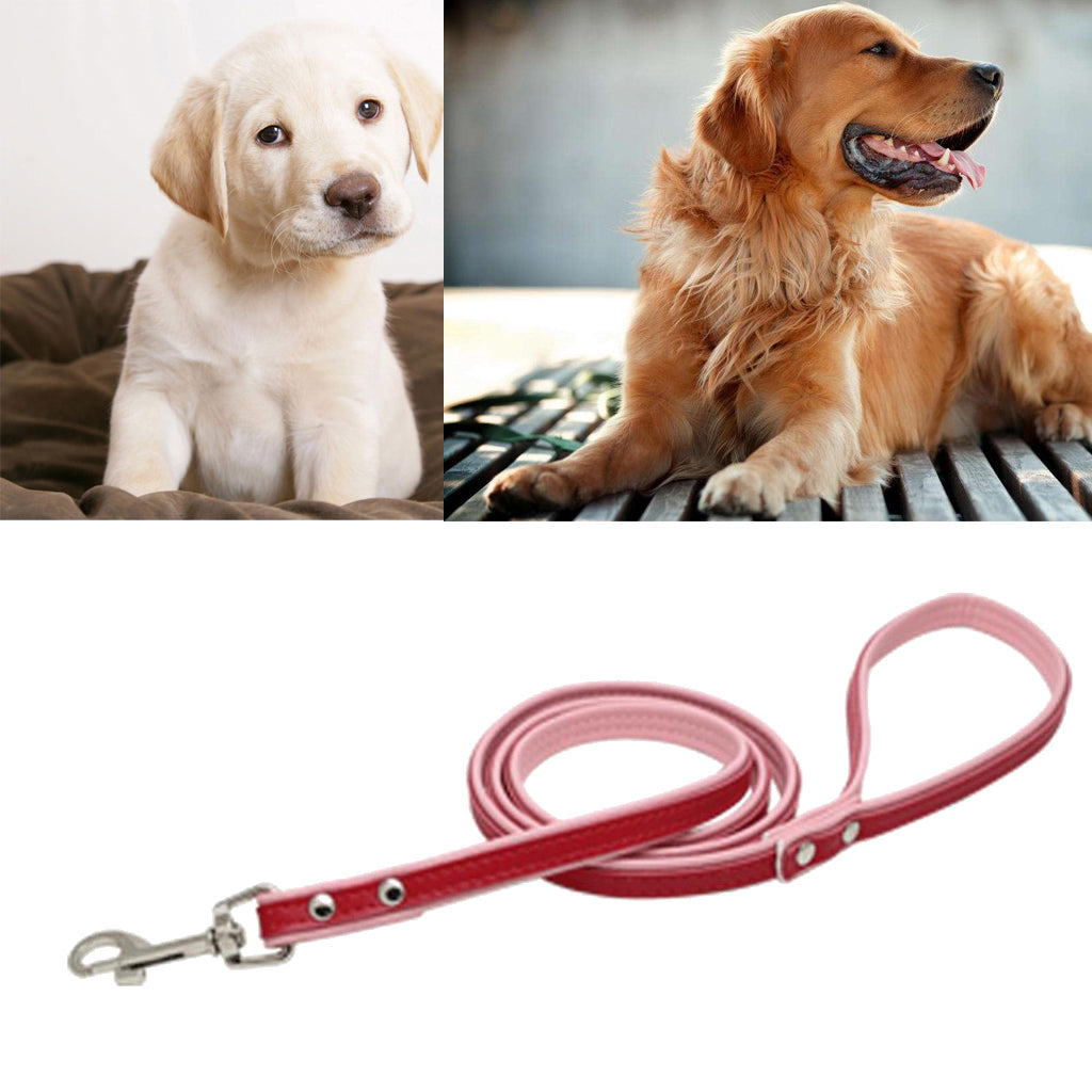 Pet Dog Leash Traction Rope Dog Walking Leash Training Harness Red