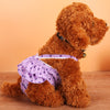 Reusable Pet Dog Physical Pant Sanitary Pant with Adjustable Strap XXL Purple