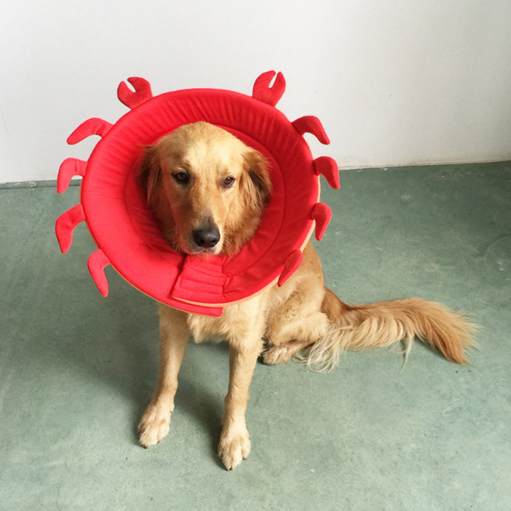 Dog Cat Elizabethan Collar E-Collar Medical Wound Cone Collar S Red Crab