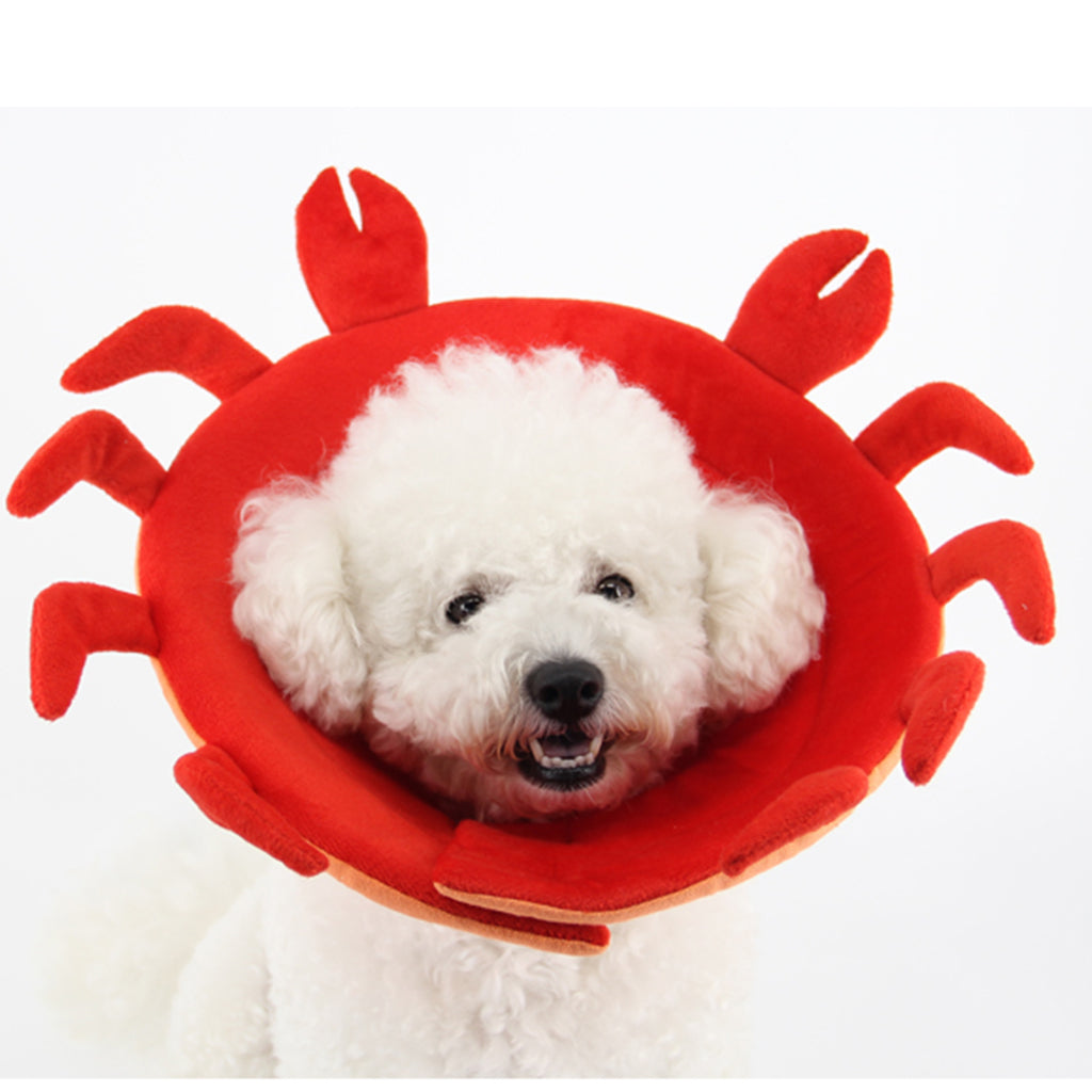 Dog Cat Elizabethan Collar E-Collar Medical Wound Cone Collar S Red Crab