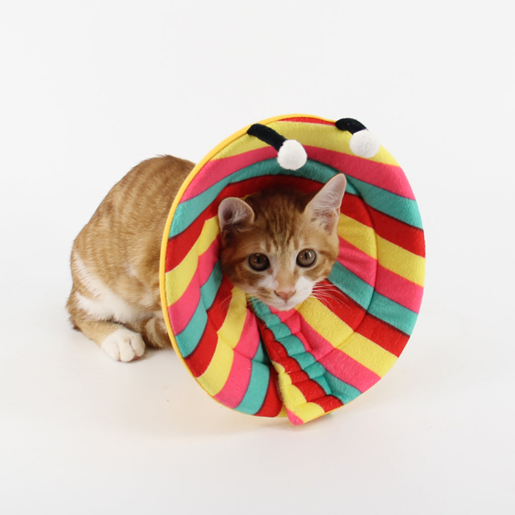 Dog Cat Elizabethan Collar E-Collar Medical Wound Cone Collar XL Multi-color Bee