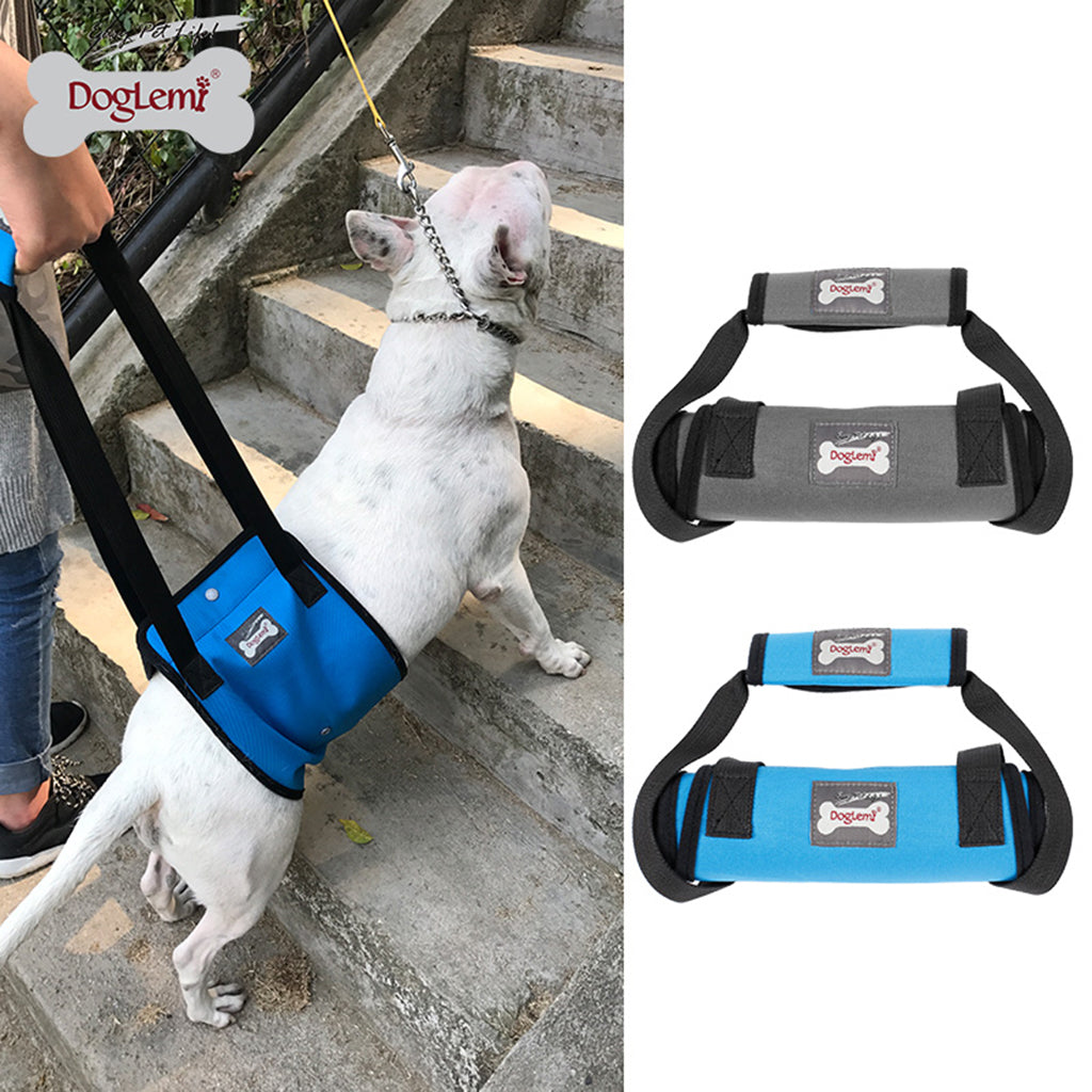 Dog Lift Harness Mobility Lifting Aid Support Harness with Handle M Blue