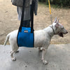 Dog Lift Harness Mobility Lifting Aid Support Harness with Handle S Blue