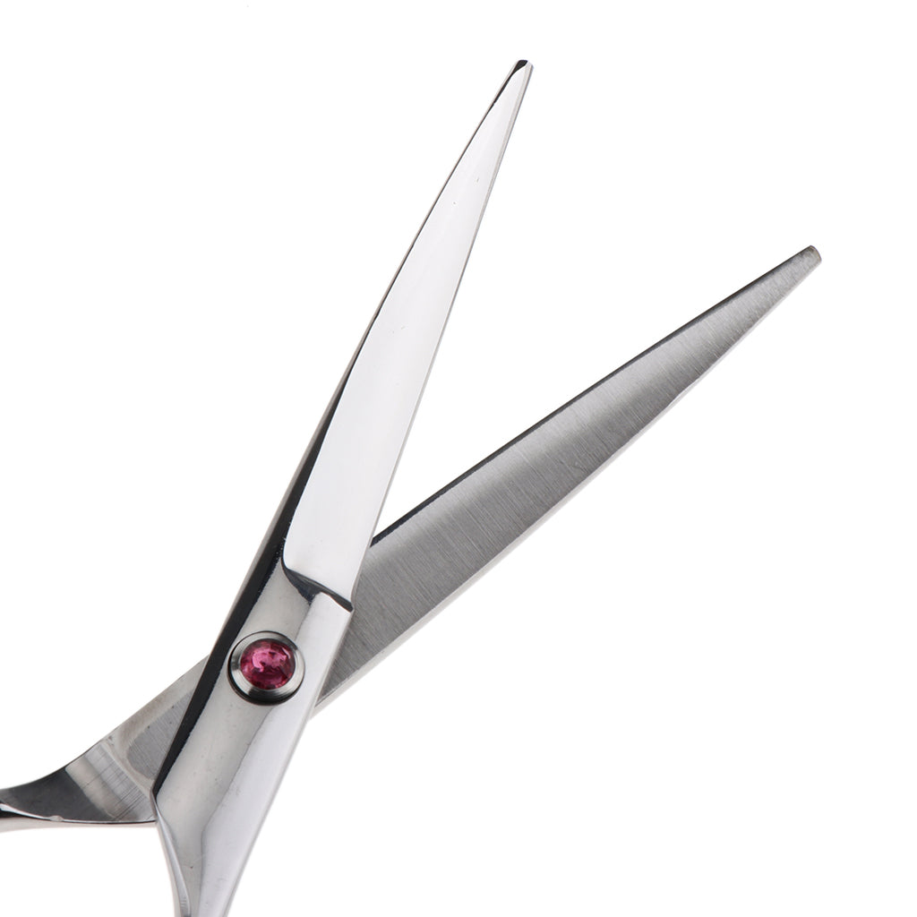 Professional Stainless Steel Hair Scissors Hairdressing Tool 6.5" Cutting