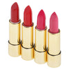 4 Pieces Waterproof Long Lasting Lipstick Makeup Cosmetic Matte Lip Stick