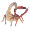 Plastic Animal Model Figure Figurines Toy for Kids Gift Home Decor Scorpion
