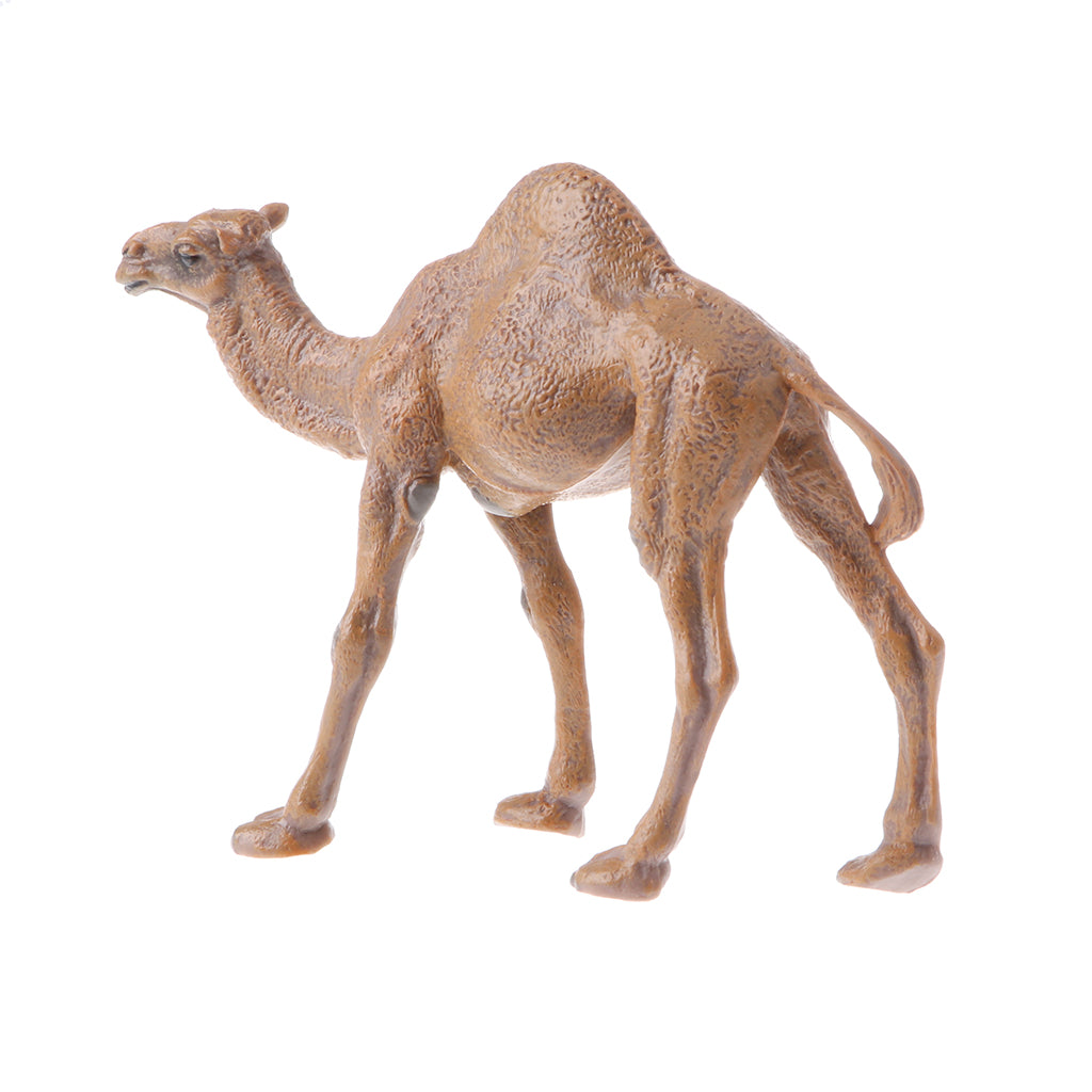 Realistic Animal Model Figures Kids Educational Toy Gift Dromedary