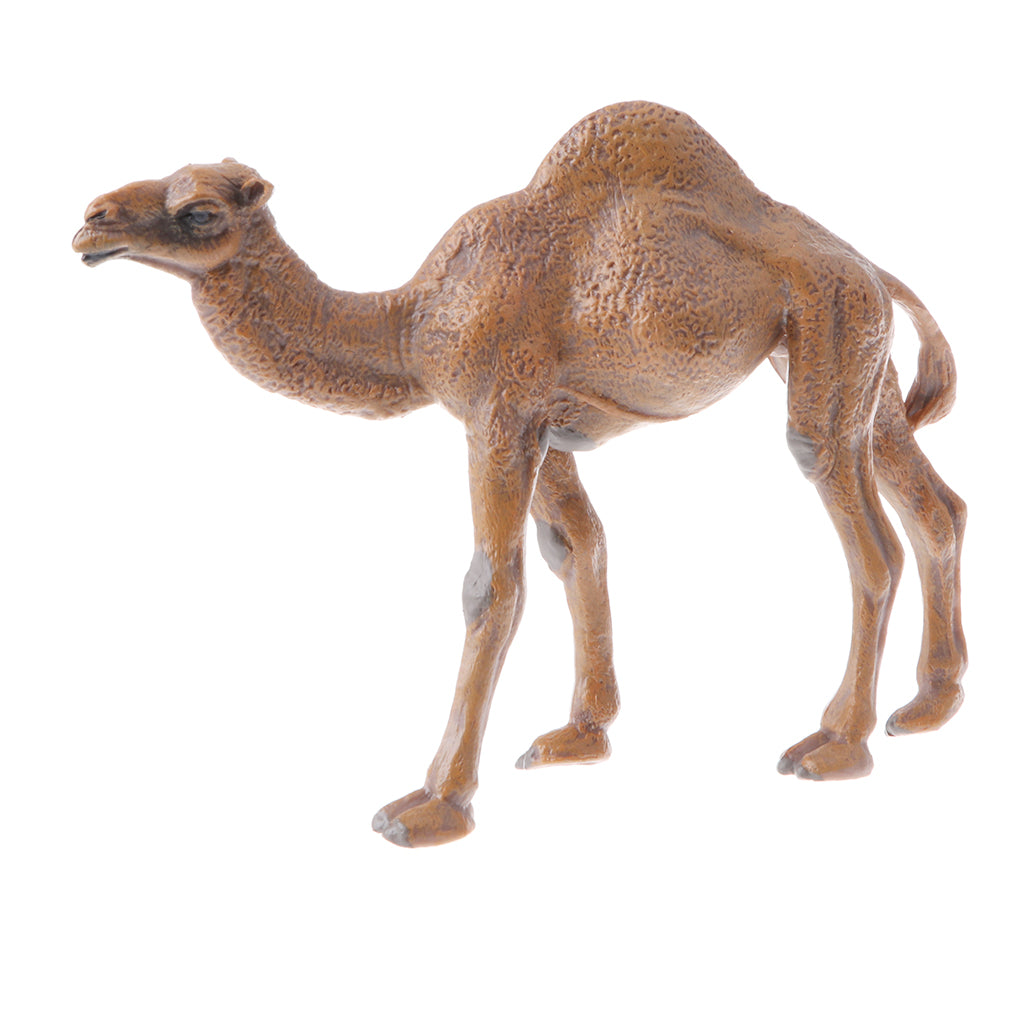 Realistic Animal Model Figures Kids Educational Toy Gift Dromedary