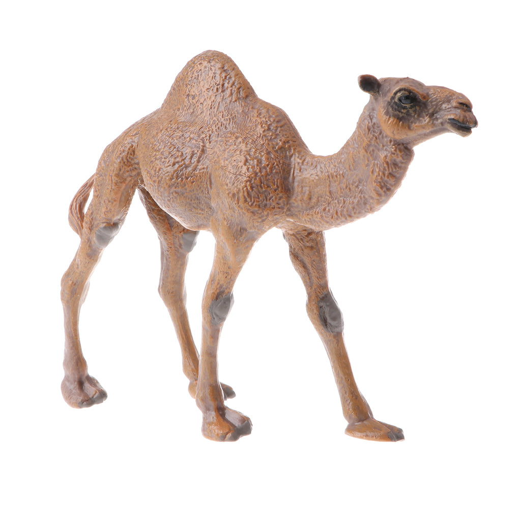 Realistic Animal Model Figures Kids Educational Toy Gift Dromedary