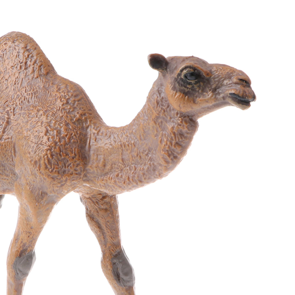 Realistic Animal Model Figures Kids Educational Toy Gift Dromedary