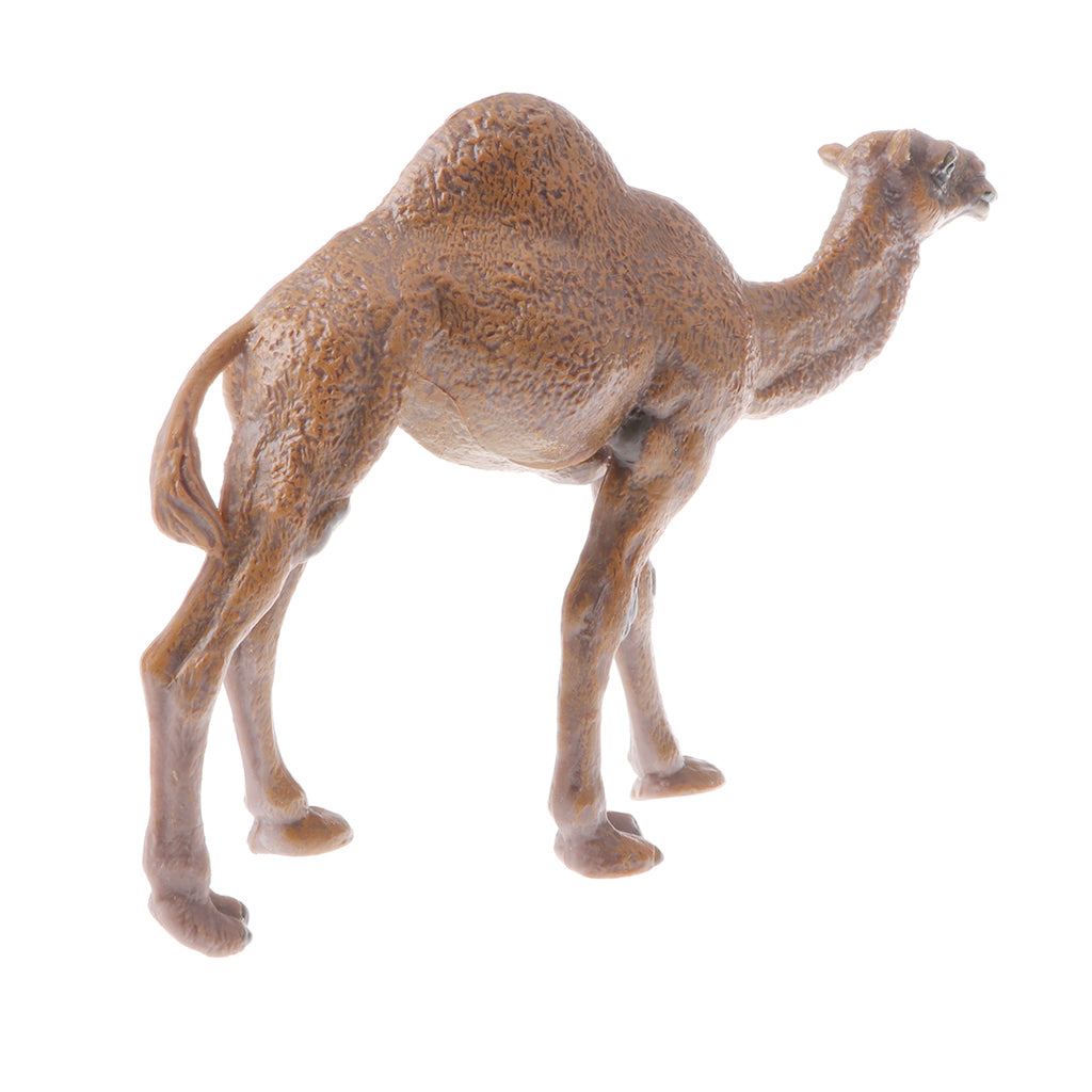 Realistic Animal Model Figures Kids Educational Toy Gift Dromedary