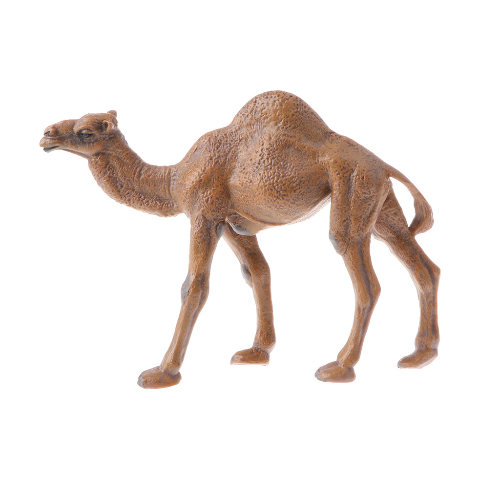 Realistic Animal Model Figures Kids Educational Toy Gift Dromedary