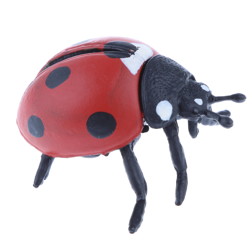 Realistic Animal Model Figurine Figures Kids Educational Toy Scarab