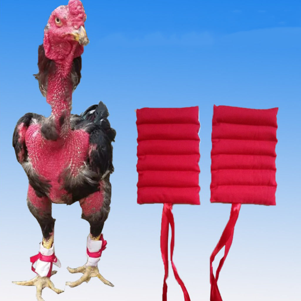 Backyard Cockfighting Sandbag Cockfighting Training Tools Random 2-2.5KG