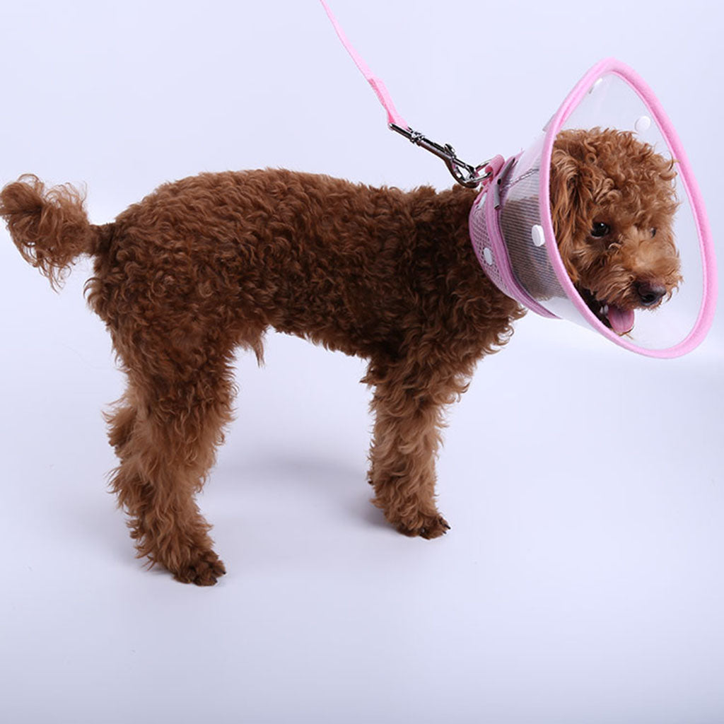 Dog Cat Elizabethan Medical Wound Cure Cone Pet Anti-bite Collar Pink  L