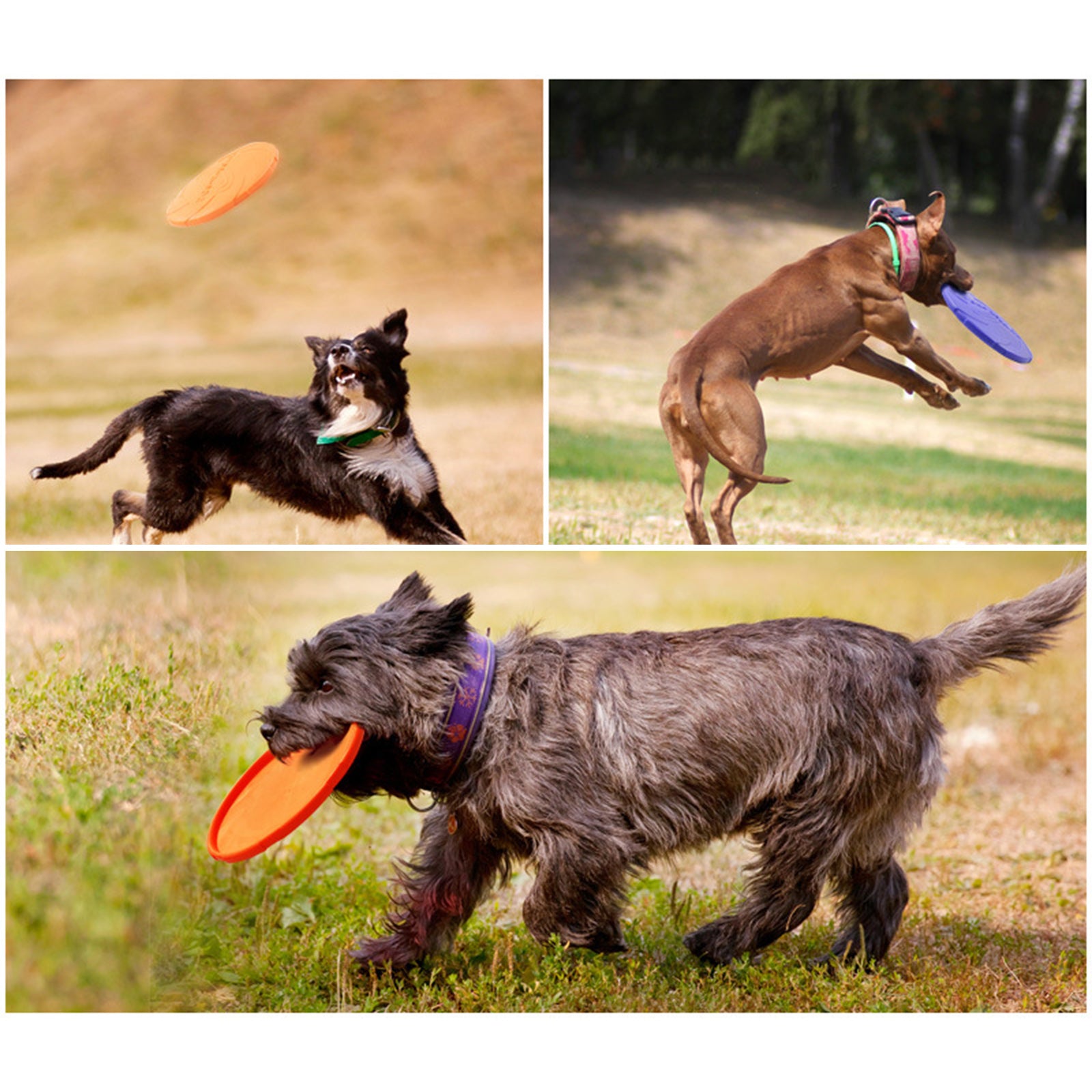 Soft Rubber Summer Beach Flying Plate Interactive Dog Toys Orange 22cm