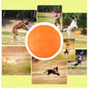 Soft Rubber Summer Beach Flying Plate Interactive Dog Toys Orange 22cm