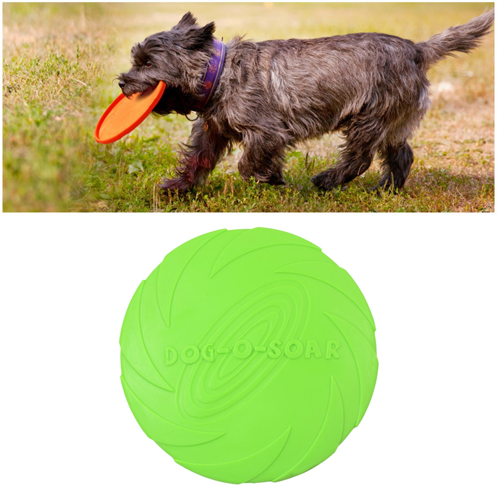 Soft Rubber Summer Beach Flying Plate Interactive Dog Toys Green 22cm