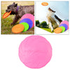 Soft Rubber Summer Beach Flying Plate Interactive Dog Toys Pink 22cm